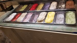 Flavors at Veganista Ice Cream V in Vienna