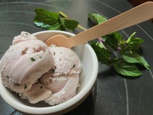 Raspberry Basil vegan gelato  at Bank Street Creamery in Easton