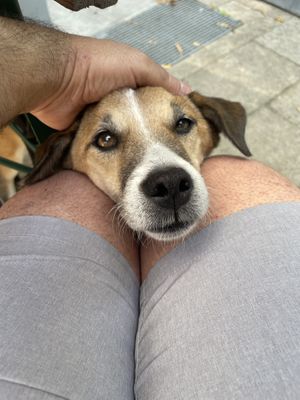   at Cafe Brooks in Hamburg