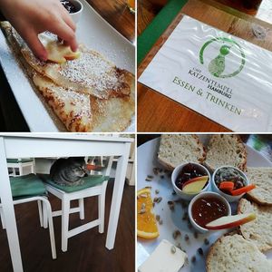 Frühstück 😊 at Katzentempel in Hamburg