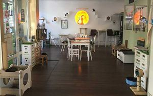 Innenbereich at Katzentempel in Hamburg