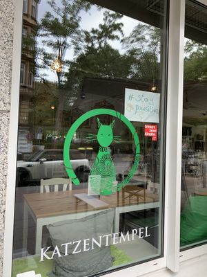 Stay pawsitive  at Katzentempel in Hamburg