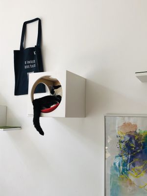 Liffey  at Katzentempel in Hamburg