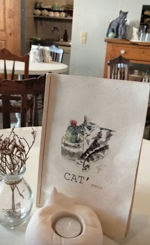 Cat Menu at O Porto dos Gatos in Porto