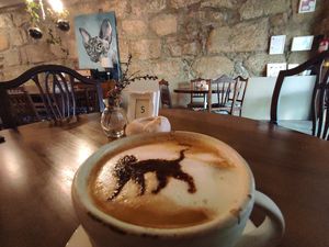 Cattucino at O Porto dos Gatos in Porto