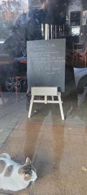 Closed until Oct 19 at O Porto dos Gatos in Porto