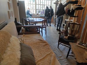 Cat room at O Porto dos Gatos in Porto