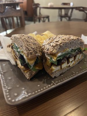 Ragamuffin  at O Porto dos Gatos in Porto