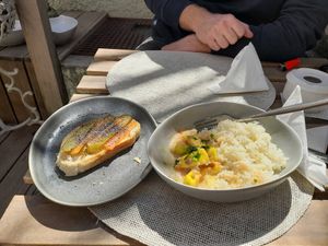  at O Porto dos Gatos in Porto