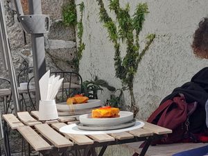  at O Porto dos Gatos in Porto