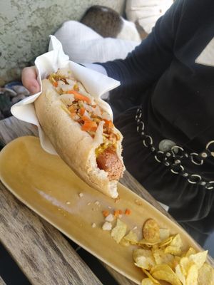 Catchorrão at O Porto dos Gatos in Porto