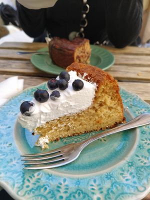 Lemon cake with vegan whipped cream and blueberries at O Porto dos Gatos in Porto