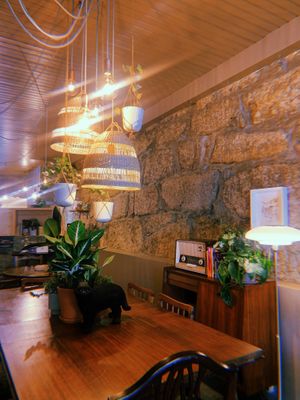   at O Porto dos Gatos in Porto