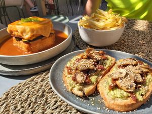  at O Porto dos Gatos in Porto