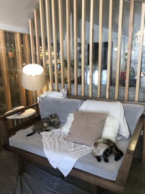   at O Porto dos Gatos in Porto