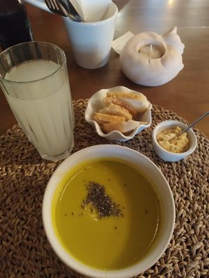 Sopa do dia at O Porto dos Gatos in Porto