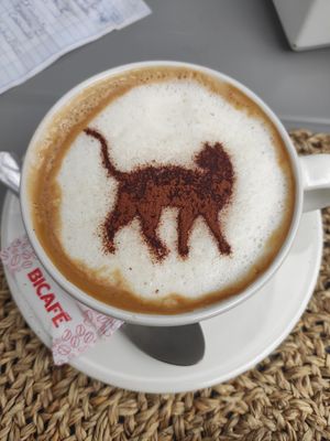  at O Porto dos Gatos in Porto