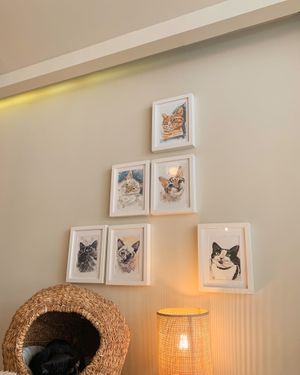   at O Porto dos Gatos in Porto