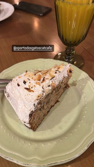 Sumo de laranja 🍊 e bolo decoração  at O Porto dos Gatos in Porto