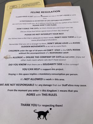   at O Porto dos Gatos in Porto