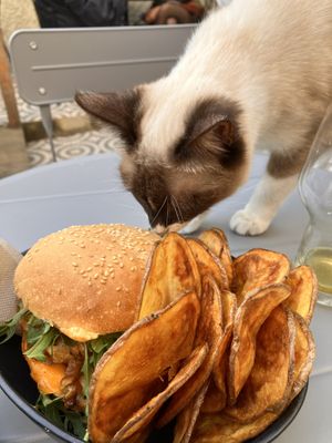   at O Porto dos Gatos in Porto