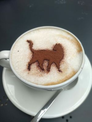  at O Porto dos Gatos in Porto