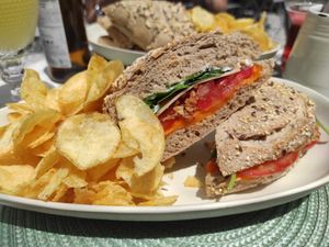 Sandwich at O Porto dos Gatos in Porto