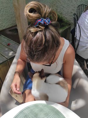 Kitty cuddle at O Porto dos Gatos in Porto