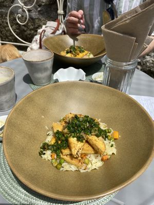 tofu and rice dish  at O Porto dos Gatos in Porto