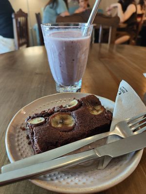 Brownie at O Porto dos Gatos in Porto