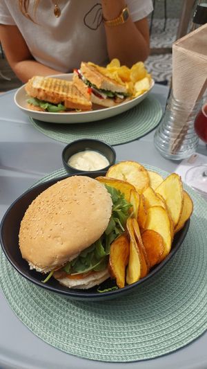  at O Porto dos Gatos in Porto