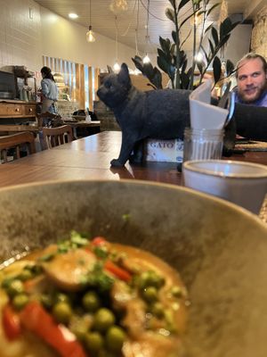 Inside  at O Porto dos Gatos in Porto