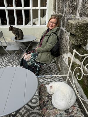 Outside   at O Porto dos Gatos in Porto