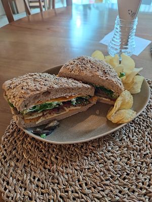  at O Porto dos Gatos in Porto