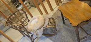  at O Porto dos Gatos in Porto