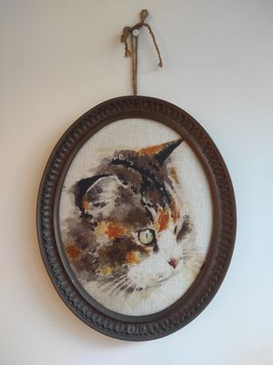  at O Porto dos Gatos in Porto