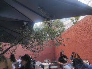  at O Porto dos Gatos in Porto