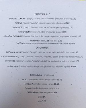  at O Porto dos Gatos in Porto