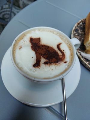  at O Porto dos Gatos in Porto