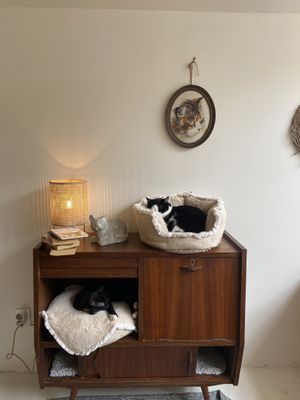   at O Porto dos Gatos in Porto