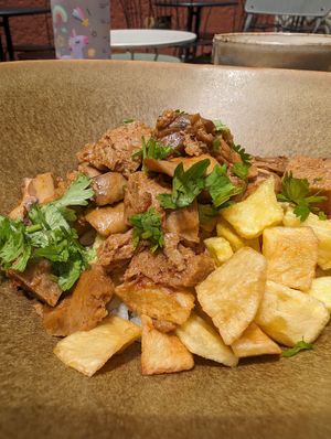  at O Porto dos Gatos in Porto