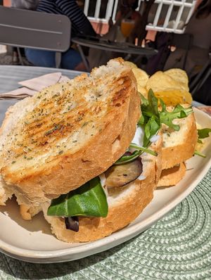  at O Porto dos Gatos in Porto