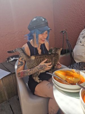   at O Porto dos Gatos in Porto