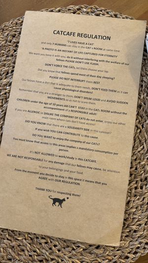   at O Porto dos Gatos in Porto