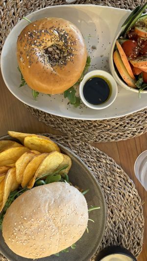   at O Porto dos Gatos in Porto