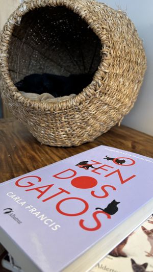   at O Porto dos Gatos in Porto