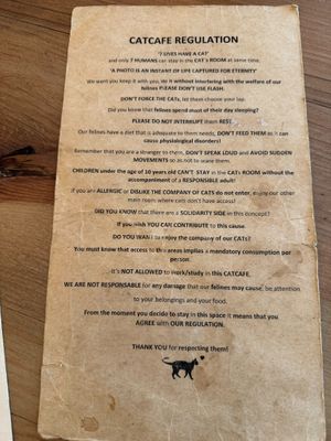  at O Porto dos Gatos in Porto