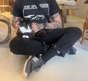   at O Porto dos Gatos in Porto