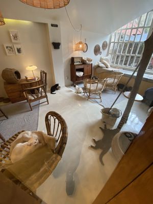   at O Porto dos Gatos in Porto