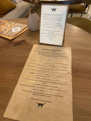   at O Porto dos Gatos in Porto